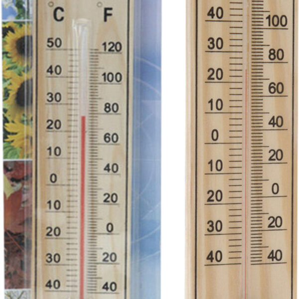 CY5000420 Thermometer hout 22 cm