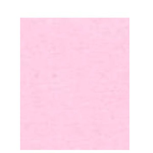 S0016170 Papier A4 160gr 25 vel roze
