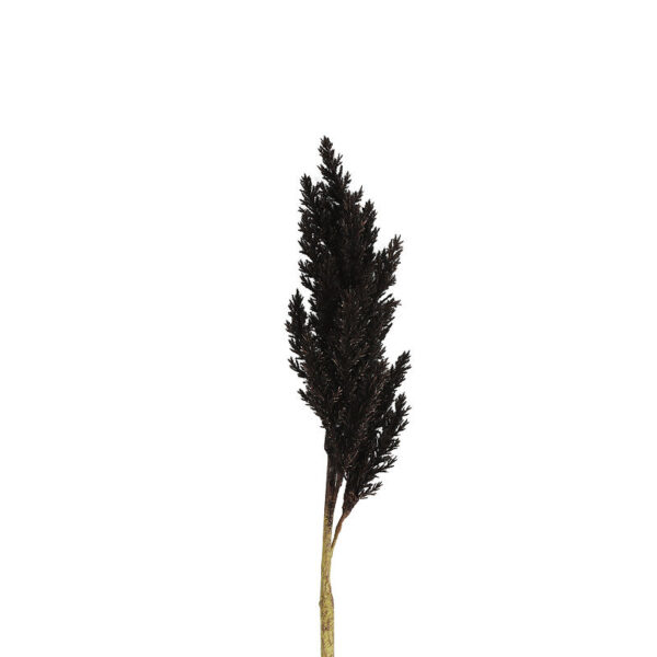 Countryfield Kunstbloem Astilbe zwart 104cm