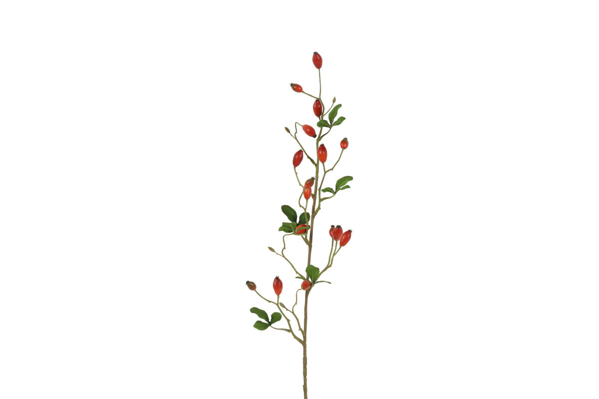 Countryfield Kunstbloem Rosa canina S rood 83cm