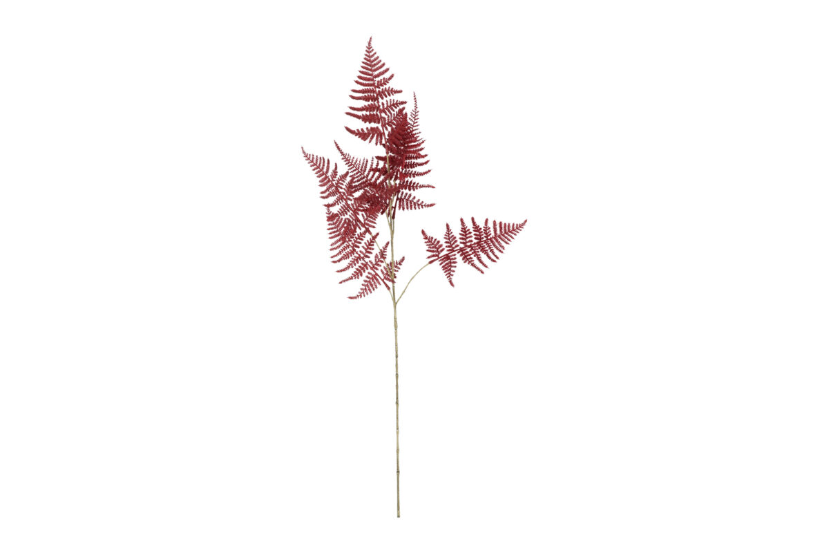 Countryfield Kunstbloem Asparagus S bordeaux 85cm