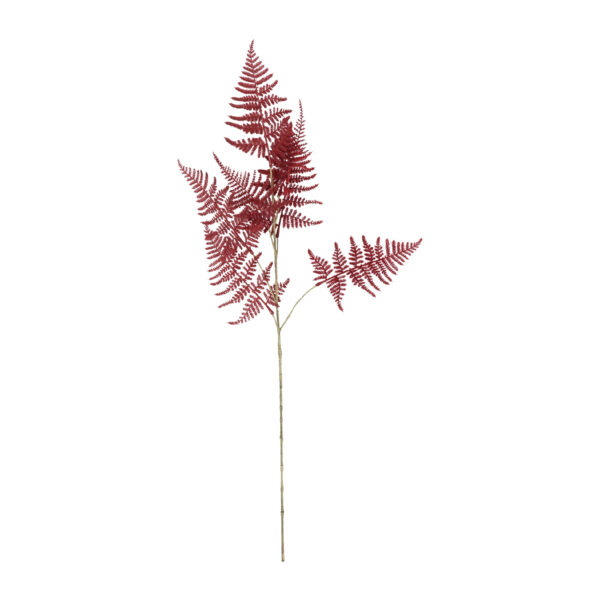 Countryfield Kunstbloem Asparagus S bordeaux 85cm