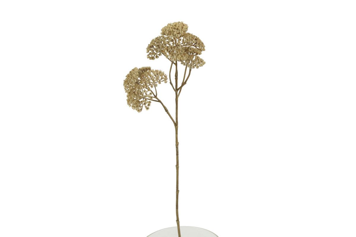 Countryfield Kunstbloem Achillea M crème 52cm