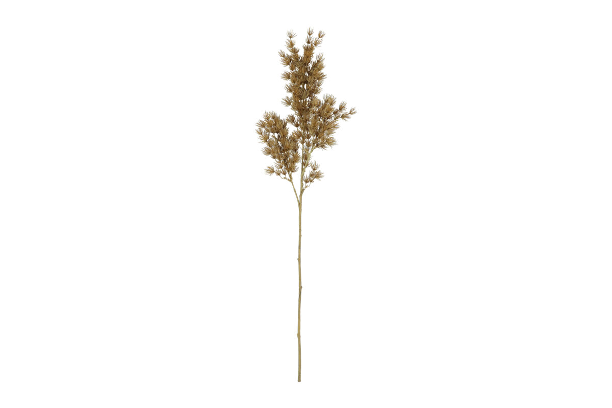 Countryfield Kunstbloem Asparagus S beige 73cm