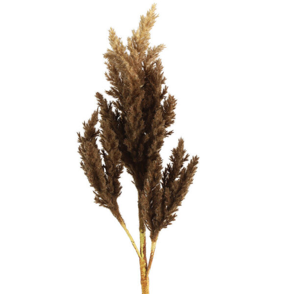 Countryfield Kunstbloem Astilbe bruin 81cm