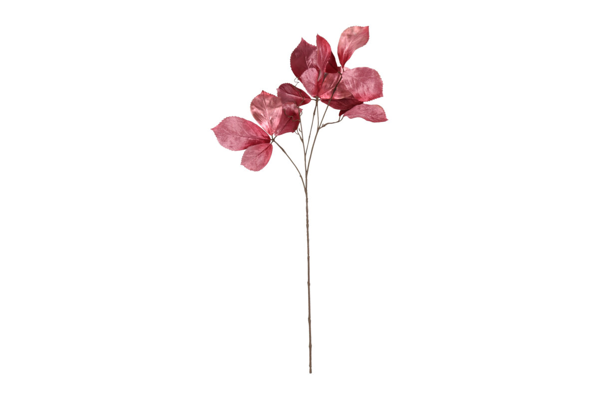 Countryfield Kunstbloem Parthenocissus S d.roze 80cm