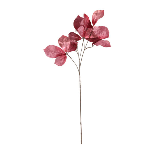 Countryfield Kunstbloem Parthenocissus S d.roze 80cm