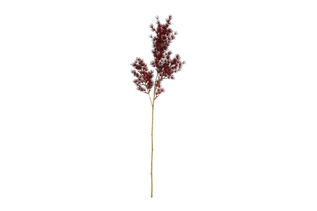 Countryfield Kunstbloem Asparagus S bordeaux 73cm