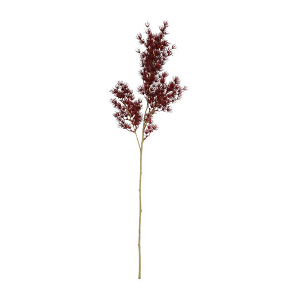 Countryfield Kunstbloem Asparagus S bordeaux 73cm