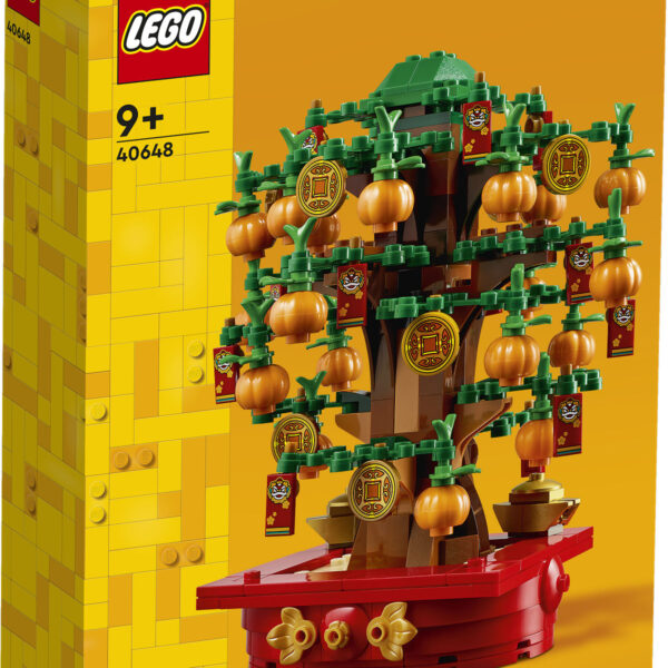 LEGO LEL Seasons and Occasions Geldboom