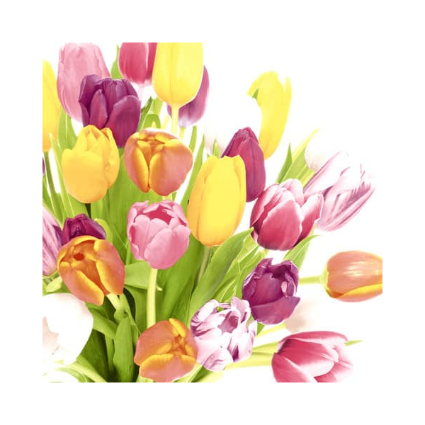 Duni servetten Beautiful Tulips 3-laags 33x33cm