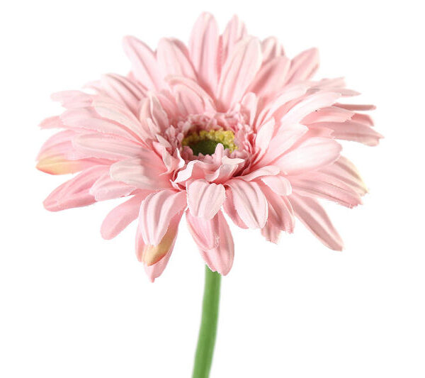 Countryfield Kunstbloem Gerbera Leanne roze 64cm