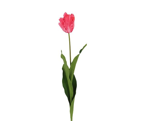 Countryfield Kunstbloem Tulipa (Parrot French) roze 65cm